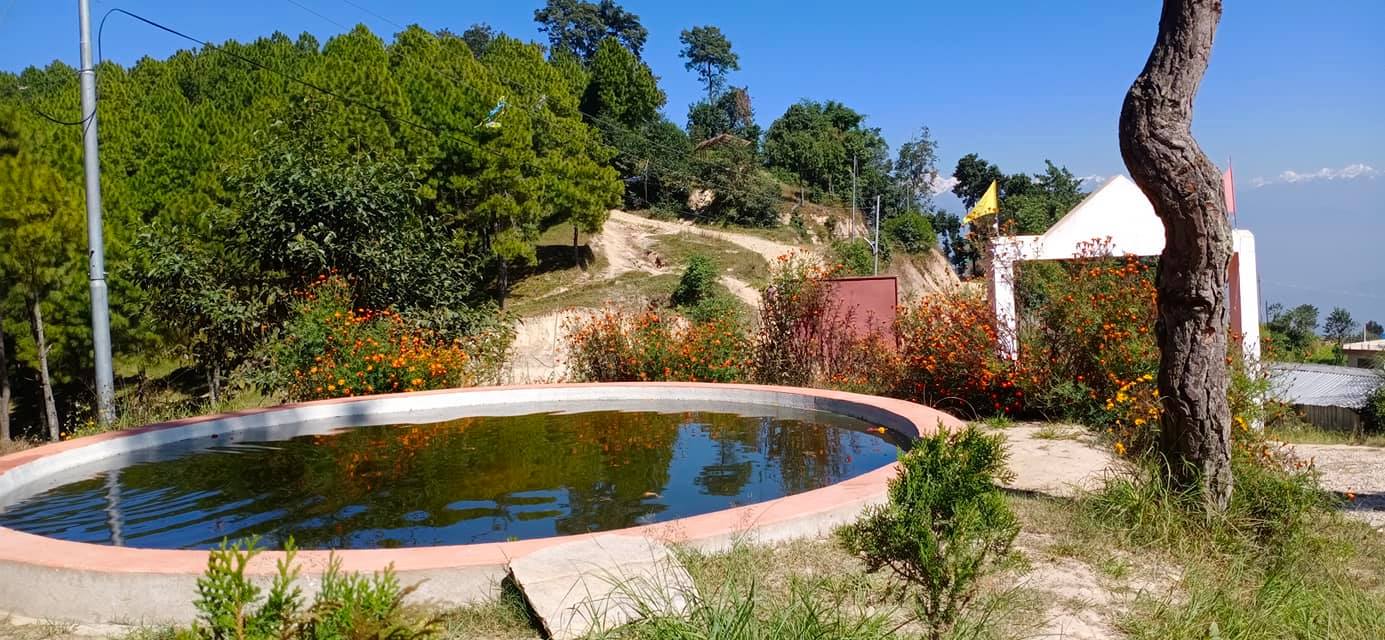 74338668_2582788565175353_3706881987076685824_n