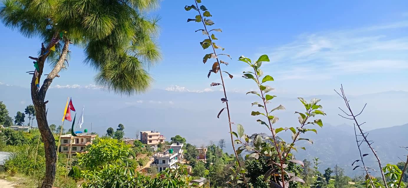 73182455_2582788395175370_6098549476635443200_n